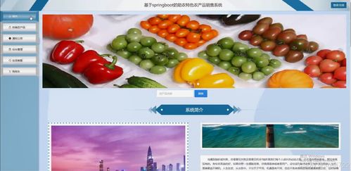 基于Java的助农特色农产品销售系统的设计与实现