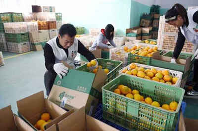 他30岁辞掉公务员回乡当农民，仅用两年实现财富自由，秘诀竟是农产品销售