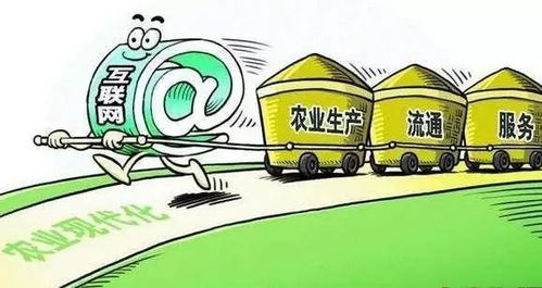 从县长代言到系统搭建 新时代农产品电商的突围之路