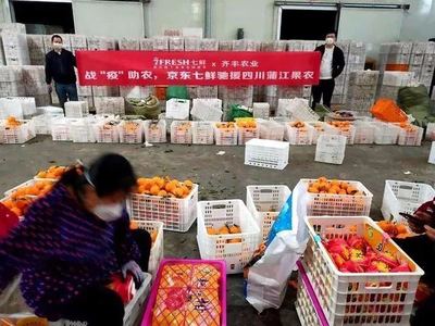 疫情下的电商助农 重塑农产品供应链的长期启示