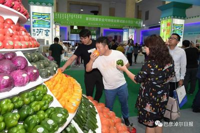 震撼113秒！巴彦淖尔农产品销售新篇章，绿色崛起的北疆明珠