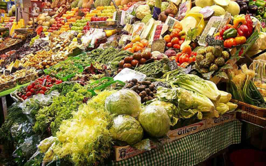 大丰农产品加盟条件详解与销售策略解析