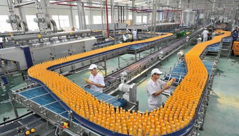 打造全国智慧农业样本园区 中荷智慧农业产业园在青岛西海岸新区启航，破解农产品销售新局