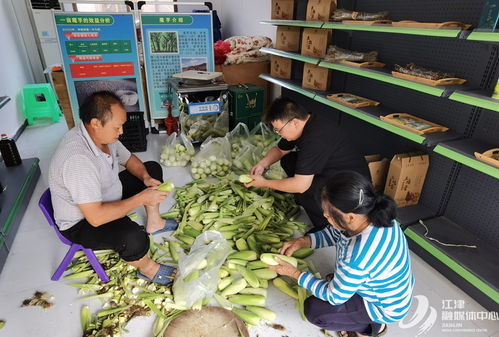 驻村“推销员”跑出致富“加速度”——柏林镇华盖村工作队助力农产品销售纪实