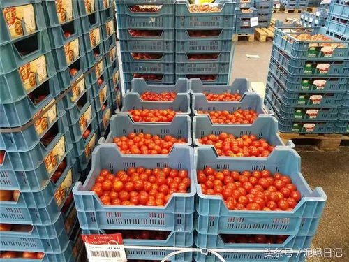 比利时农产品运营奇葩 颠覆传统销售模式,令养殖户如梦初醒